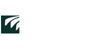 Lufkin Gears
